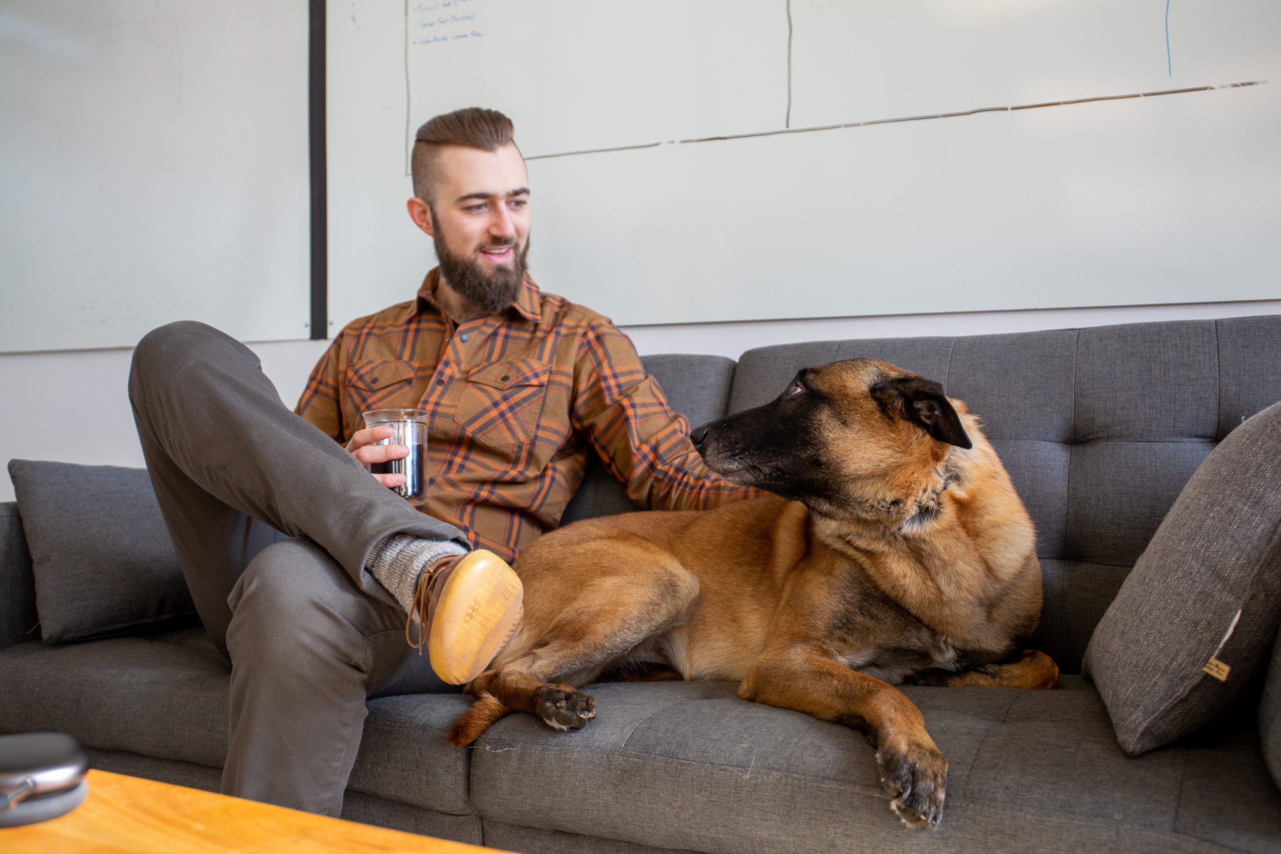 飼ってみたい!一緒に寝たい!大型犬のワンちゃんの飼い方!